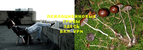синтетический гашиш Балахна