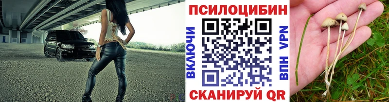 кракен онион Нефтегорск Псилоцибиновые грибы мухоморы